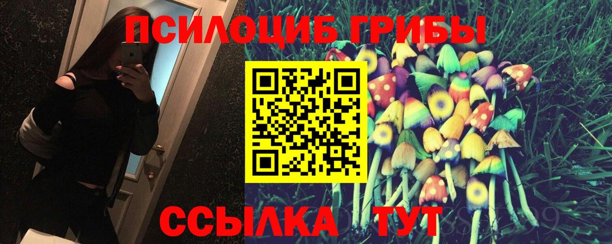 Псилоцибиновые грибы Psilocybine cubensis Волоколамск